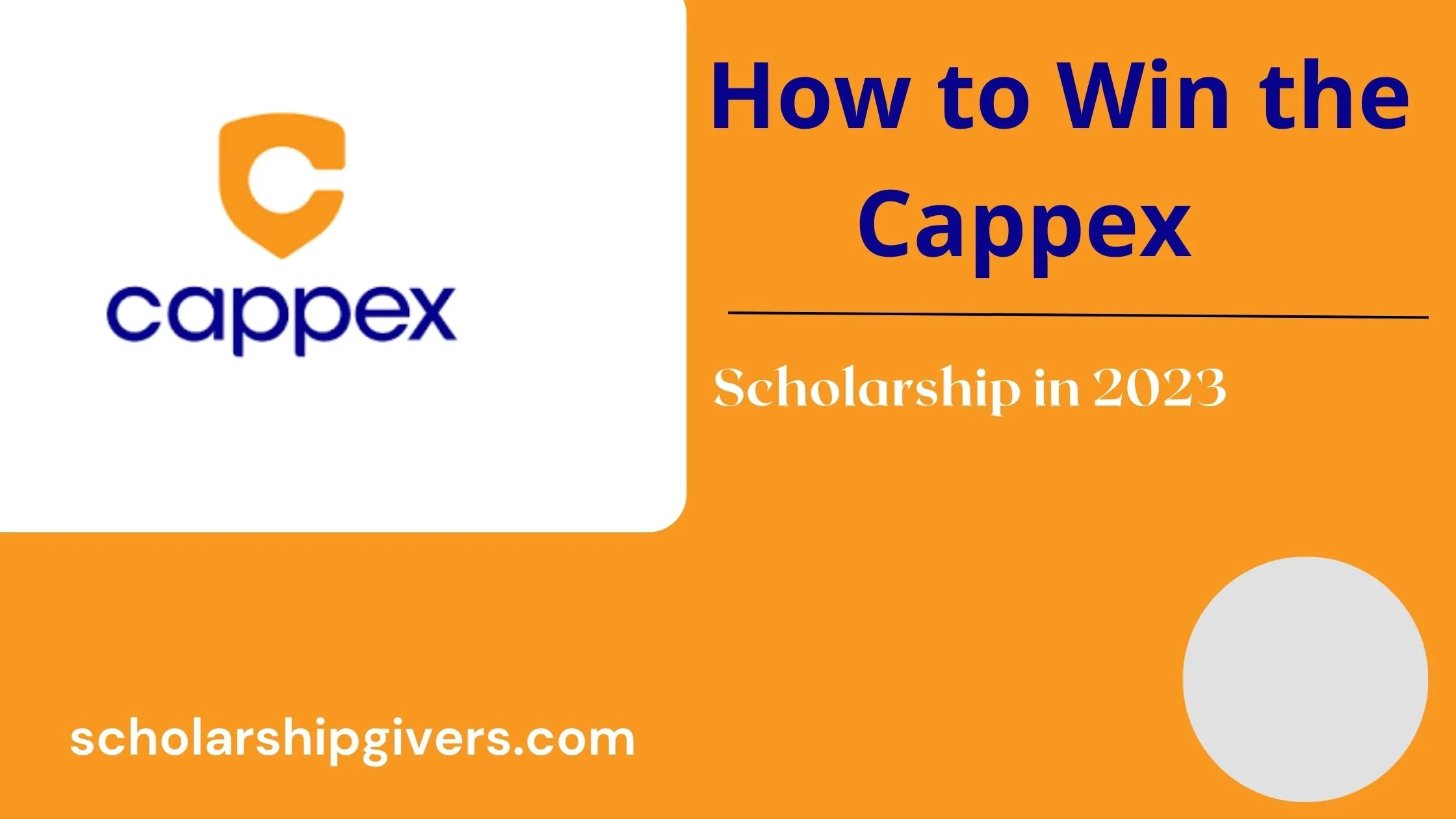 How to Win the Cappex Scholarship in 2023