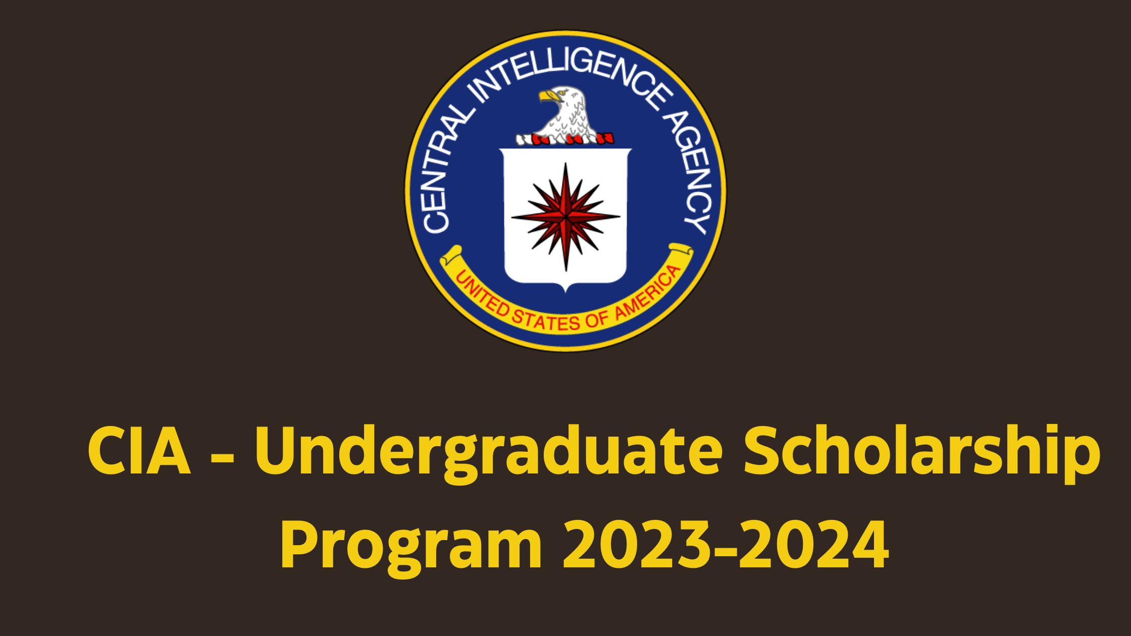 CIA - Undergraduate Scholarship Program 2023-2024